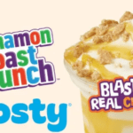 Wendy's Cinnamon Toast Crunch Frosty
